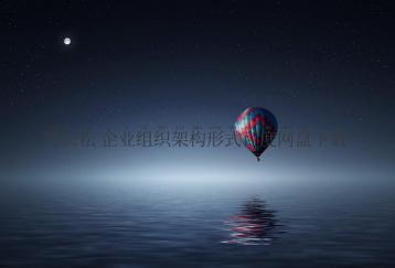 贾长松 企业组织架构形式百度网盘下载