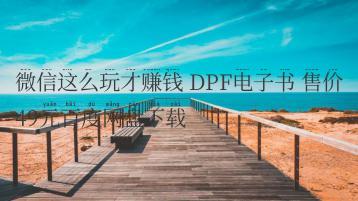 微信这么玩才赚钱 DPF电子书 售价49元百度网盘下载