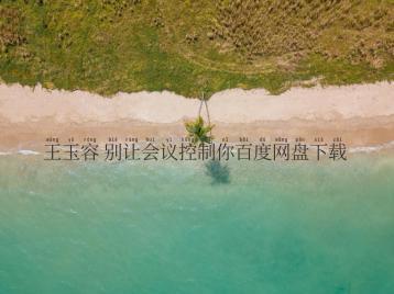 王玉容 别让会议控制你百度网盘下载