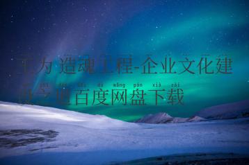 王为 造魂工程-企业文化建设之道百度网盘下载