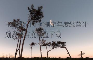 王磊 公司如何制定年度经营计划高清百度网盘下载