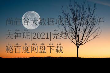 尚硅谷大数据项目实战提升大神班|2021|完结无秘百度网盘下载