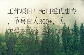 王炸项目！无门槛优惠券，单号日入300+，无需经验直接上手【揭秘】百度网盘下载