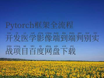 Pytorch框架全流程开发医学影像端到端判别实战项目百度网盘下载