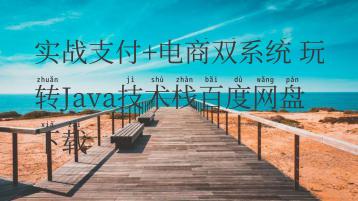 实战支付+电商双系统 玩转Java技术栈百度网盘下载