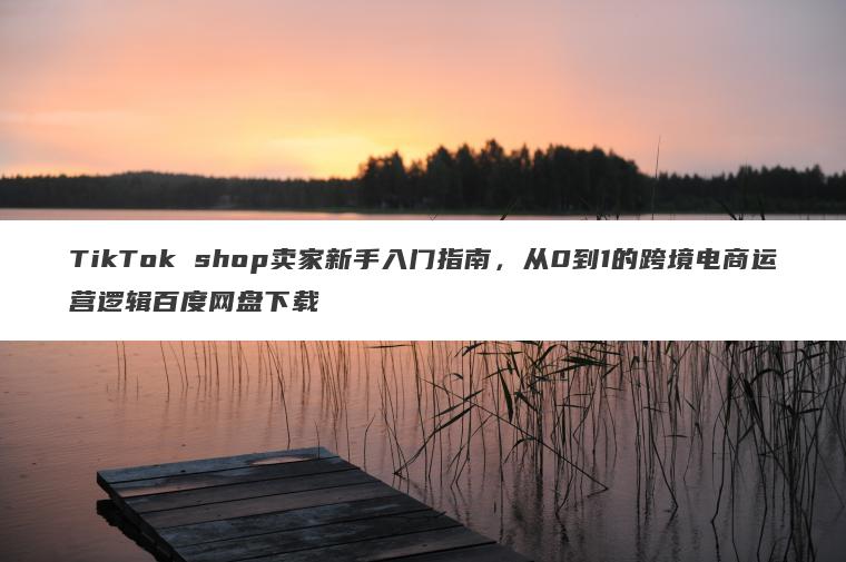 TikTok shop卖家新手入门指南，从0到1的跨境电商运营逻辑百度网盘下载