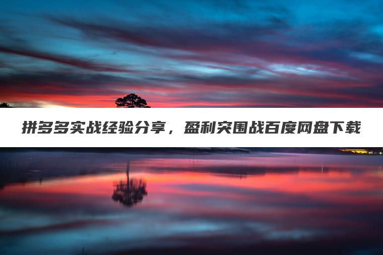 拼多多实战经验分享,盈利突围战百度网盘下载 拼多多实战经验分享,盈利突围战百度网盘下载