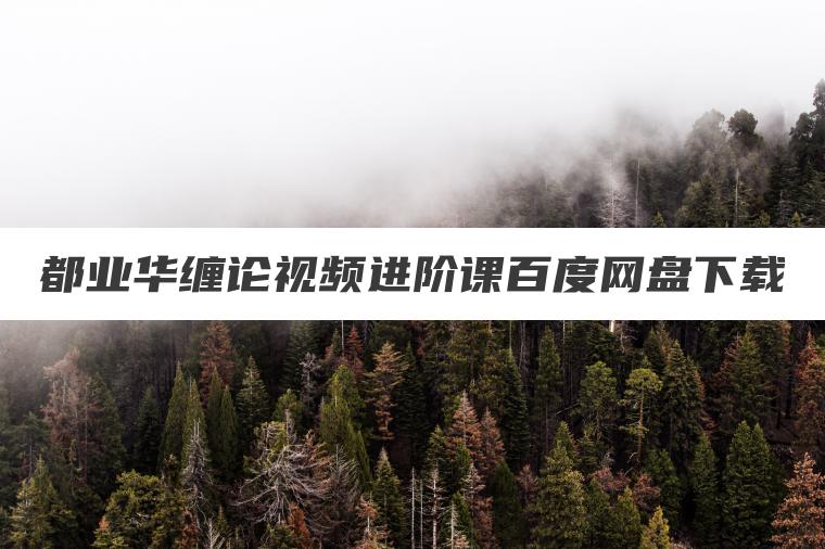 都业华缠论视频进阶课百度网盘下载 都业华缠论视频进阶课百度网盘下载
