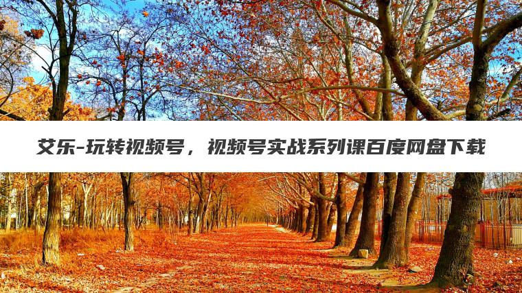 艾乐-玩转视频号，视频号实战系列课百度网盘下载