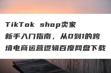 TikTok shop卖家新手入门指南，从0到1的跨境电商运营逻辑百度网盘下载