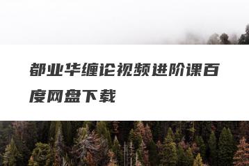 都业华缠论视频进阶课百度网盘下载