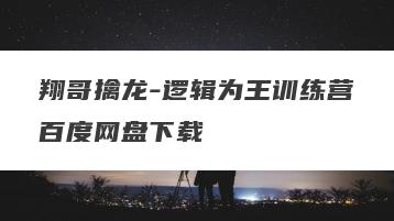 翔哥擒龙-逻辑为王训练营百度网盘下载