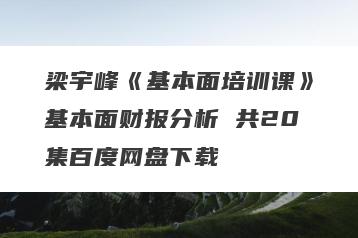 梁宇峰《基本面培训课》基本面财报分析 共20集百度网盘下载