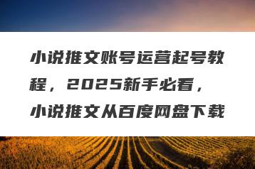 小说推文账号运营起号教程，2025新手必看，小说推文从百度网盘下载