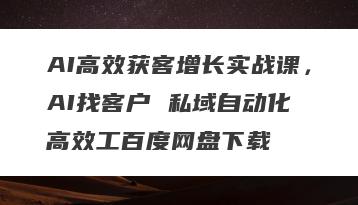AI高效获客增长实战课，AI找客户 私域自动化 高效工百度网盘下载