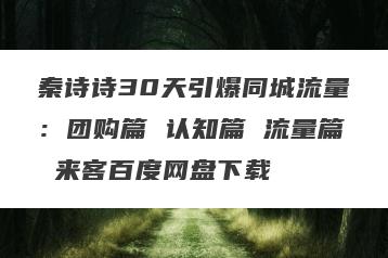 秦诗诗30天引爆同城流量：团购篇 认知篇 流量篇 来客百度网盘下载