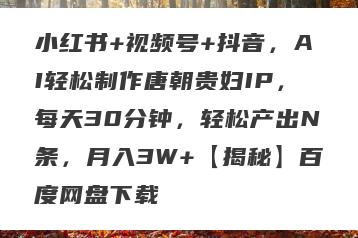 小红书+视频号+抖音，AI轻松制作唐朝贵妇IP，每天30分钟，轻松产出N条，月入3W+【揭秘】百度网盘下载