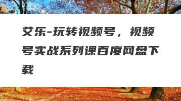 艾乐-玩转视频号，视频号实战系列课百度网盘下载