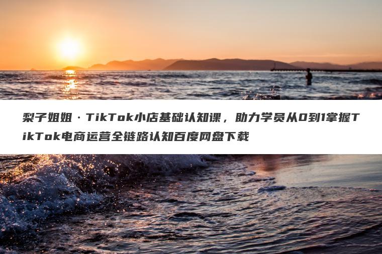 梨子姐姐TikTok小店基础认知课，助力学员从0到1掌握TikTok电商运营全链路认知百度网盘下载