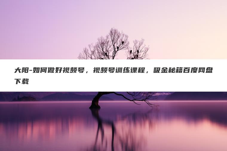 大阳-如何做好视频号,视频号训练课程,吸金秘籍百度网盘下载 大阳-如何做好视频号,视频号训练课程,吸金秘籍百度网盘下载