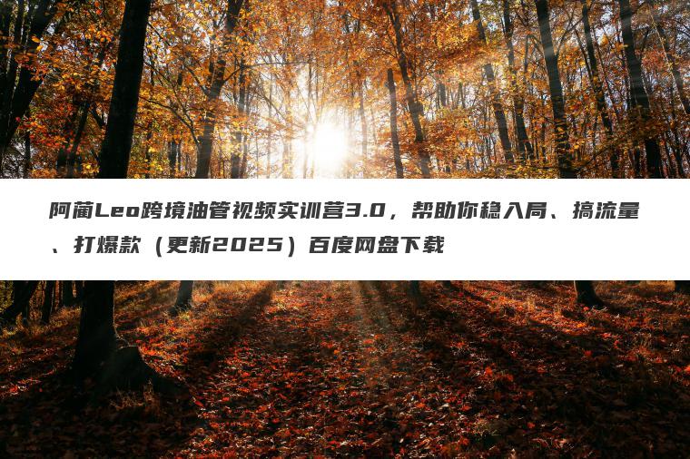 阿蔺Leo跨境油管视频实训营3.0,帮助你稳入局、搞流量、打爆款(更新2025)百度网盘下载 阿蔺Leo跨境油管视频实训营3.0,帮助你稳入局、搞流量、打爆款(更新2025)百度网盘下载