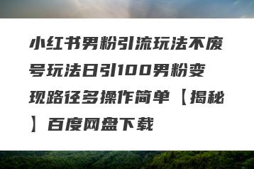 小红书男粉引流玩法不废号玩法日引100男粉变现路径多操作简单【揭秘】百度网盘下载