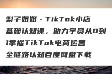 梨子姐姐·TikTok小店基础认知课，助力学员从0到1掌握TikTok电商运营全链路认知百度网盘下载