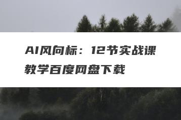AI风向标：12节实战课教学百度网盘下载