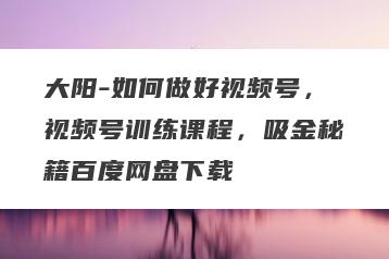 大阳-如何做好视频号，视频号训练课程，吸金秘籍百度网盘下载