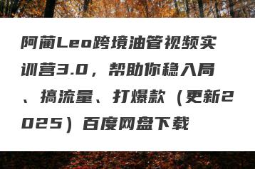 阿蔺Leo跨境油管视频实训营3.0，帮助你稳入局、搞流量、打爆款（更新2025）百度网盘下载