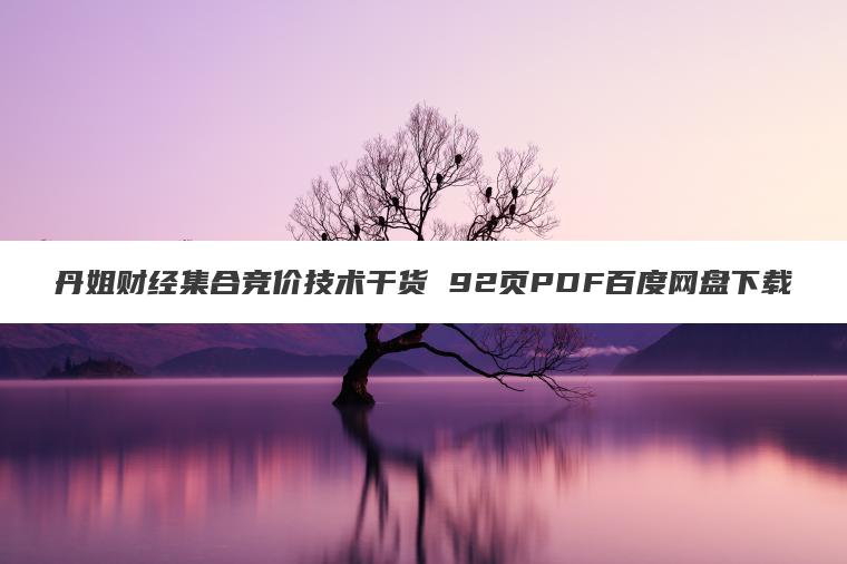 丹姐财经集合竞价技术干货 92页PDF百度网盘下载