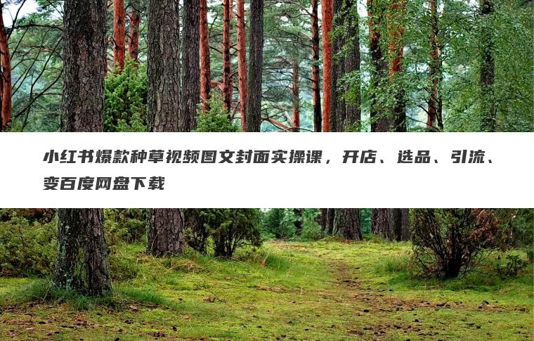小红书爆款种草视频图文封面实操课，开店、选品、引流、变百度网盘下载