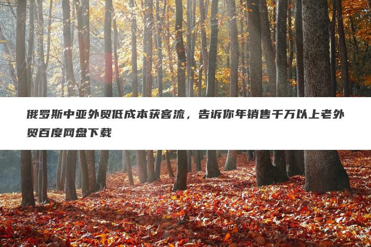 俄罗斯中亚外贸低成本获客流，告诉你年销售千万以上老外贸百度网盘下载