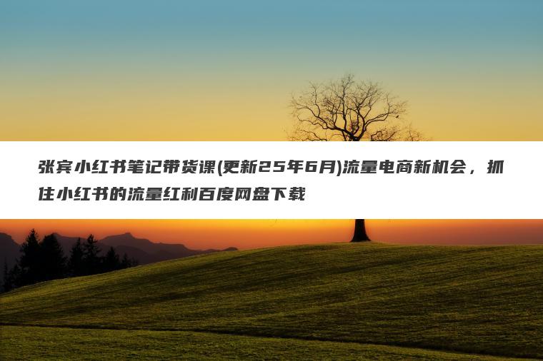 张宾小红书笔记带货课(更新25年6月)流量电商新机会，抓住小红书的流量红利百度网盘下载