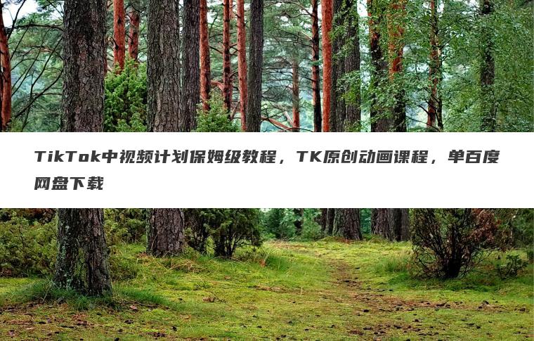 TikTok中视频计划保姆级教程,TK原创动画课程,单百度网盘下载 TikTok中视频计划保姆级教程,TK原创动画课程,单百度网盘下载