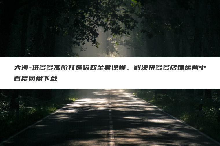 大海-拼多多高阶打造爆款全套课程，解决拼多多店铺运营中百度网盘下载