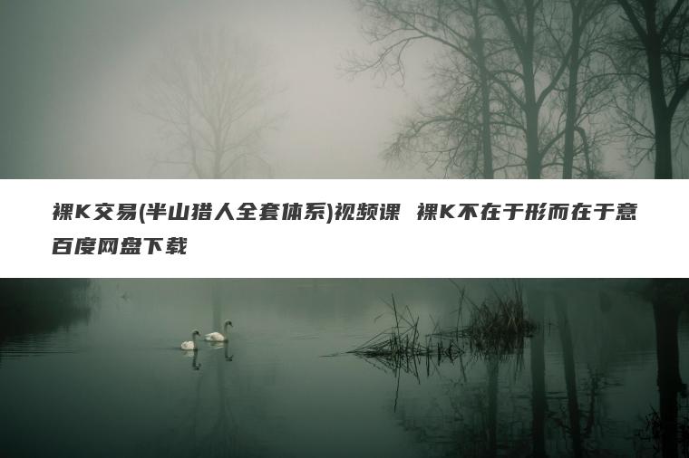 裸K交易(半山猎人全套体系)视频课 裸K不在于形而在于意百度网盘下载