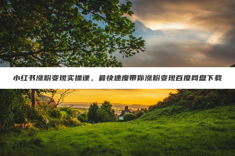 小红书涨粉变现实操课,最快速度带你涨粉变现百度网盘下载 小红书涨粉变现实操课,最快速度带你涨粉变现百度网盘下载