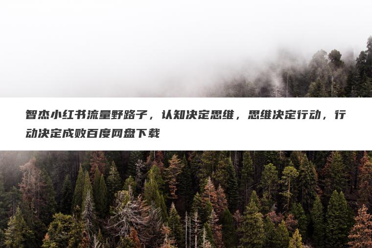 智杰小红书流量野路子，认知决定思维，思维决定行动，行动决定成败百度网盘下载