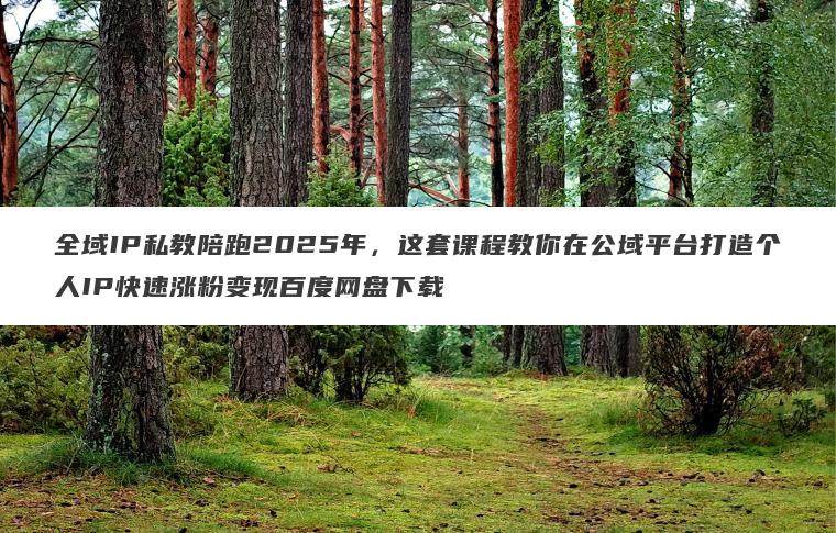 全域IP私教陪跑2025年，这套课程教你在公域平台打造个人IP快速涨粉变现百度网盘下载