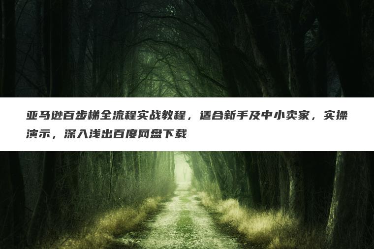 亚马逊百步梯全流程实战教程，适合新手及中小卖家，实操演示，深入浅出百度网盘下载