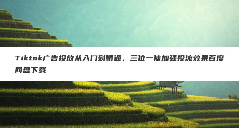 Tiktok广告投放从入门到精通,三位一体加强投流效果百度网盘下载 Tiktok广告投放从入门到精通,三位一体加强投流效果百度网盘下载