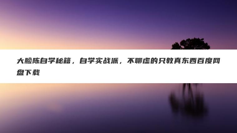 大脸陈自学秘籍，自学实战派，不聊虚的只教真东西百度网盘下载
