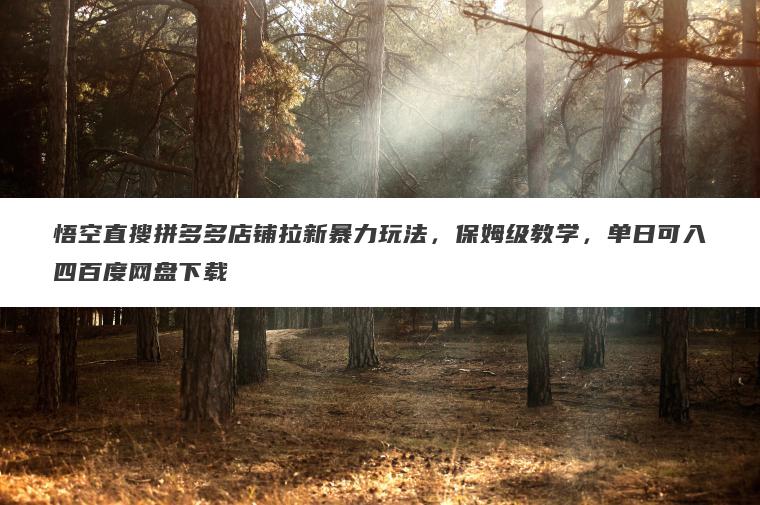 悟空直搜拼多多店铺拉新暴力玩法，保姆级教学，单日可入四百度网盘下载