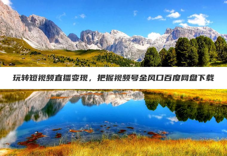 玩转短视频直播变现，把握视频号金风口百度网盘下载