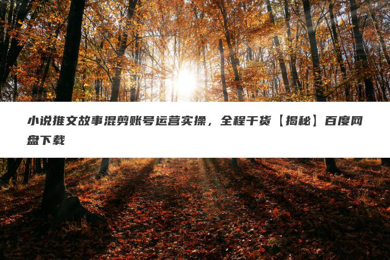 小说推文故事混剪账号运营实操,全程干货【揭秘】百度网盘下载 小说推文故事混剪账号运营实操,全程干货【揭秘】百度网盘下载