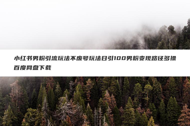 小红书男粉引流玩法不废号玩法日引100男粉变现路径多操百度网盘下载