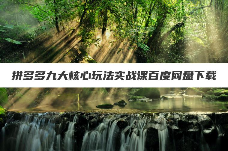 拼多多九大核心玩法实战课百度网盘下载