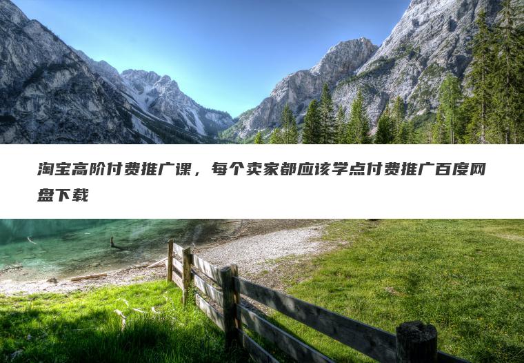 淘宝高阶付费推广课，每个卖家都应该学点付费推广百度网盘下载