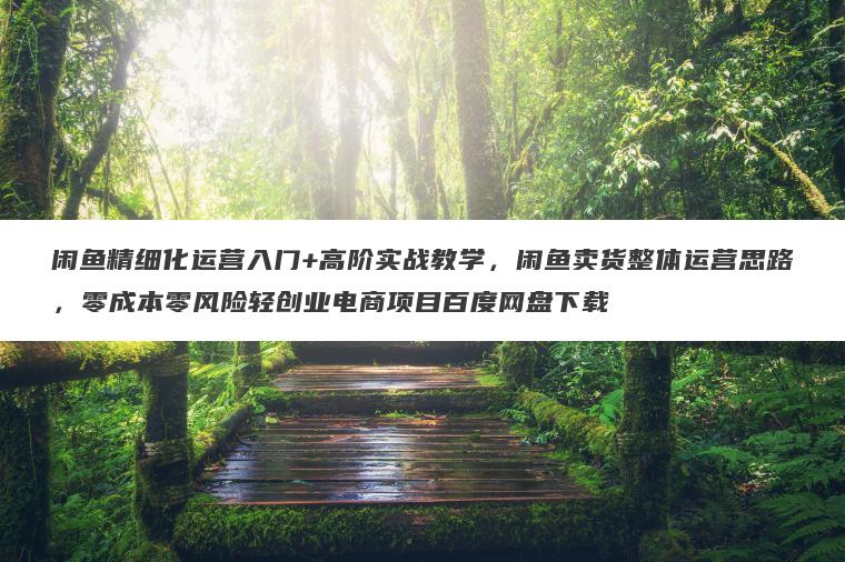 闲鱼精细化运营入门+高阶实战教学，闲鱼卖货整体运营思路，零成本零风险轻创业电商项目百度网盘下载
